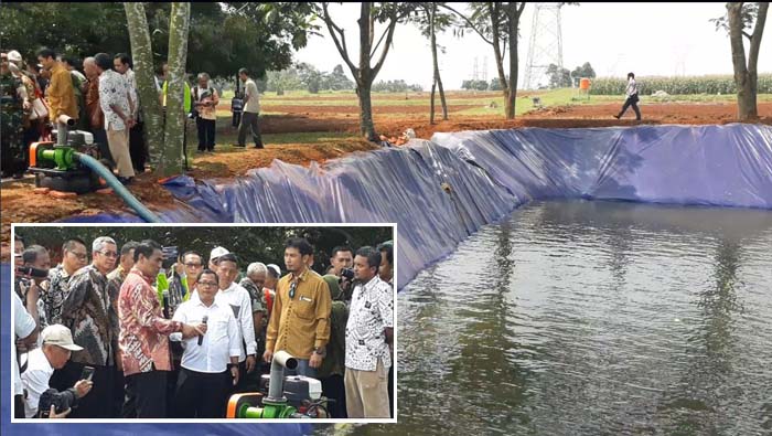 Kekeringan Ancam Lahan Pertanian, Ini Antisipasi Mentan Jaga Produktivitas Pangan